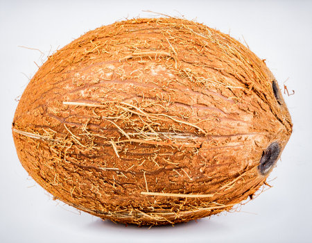 Coconut Drupe Isolated on White Background, Hard-Shelled Tropical Fruit Representing Natural Energy...