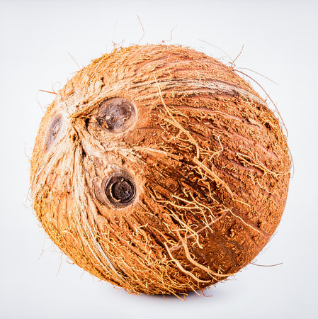 Coconut Drupe Isolated on White Background, Hard-Shelled Tropical Fruit Representing Natural Energy...