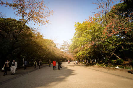 Tokyo, Japan - Noveber 10 ,2017: Autumn landscape in the Ueno parkのeditorial素材