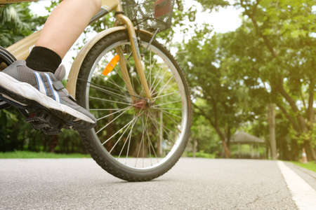 A woman riding a bicycle in the park in the eveningの写真素材