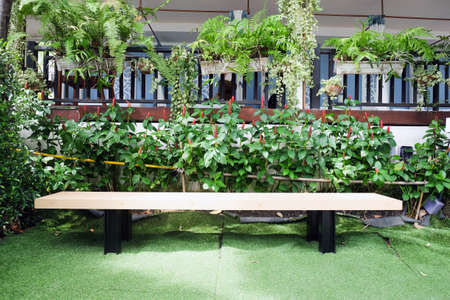 Wooden bench in a beautiful garden.の写真素材
