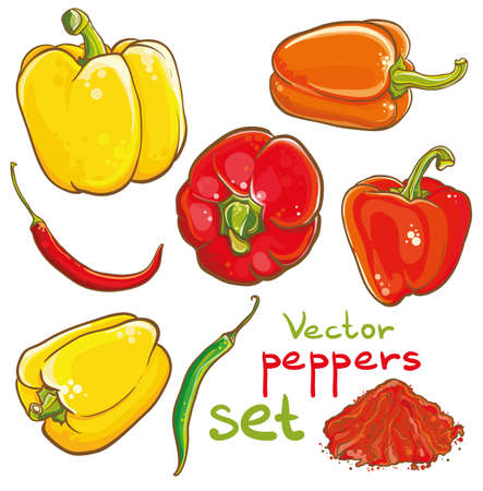 Vector illustration of peppers, chili peppers, cayenne and spice. Isolated. Set of peppers.のイラスト素材