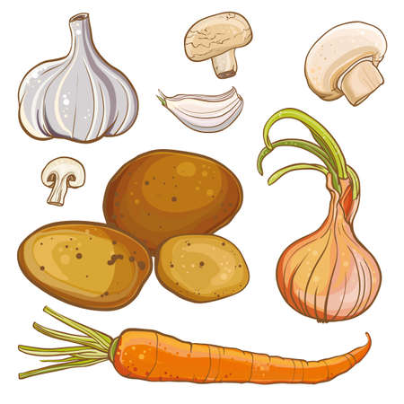 Vector color illustration of onion, carrot, potatoes, garlic, mushrooms. Ingredients for cooking.のイラスト素材