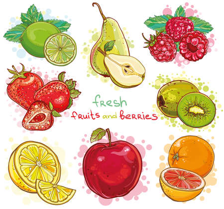 Vector set of illustration with fresh bright fruits and berries. Apple, kiwi, strawberry, raspberry, pear, lemon, lime, orange, grapefruit, mint.のイラスト素材