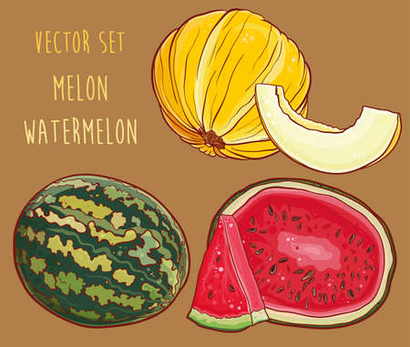 illustration of melon and watermelon. のイラスト素材