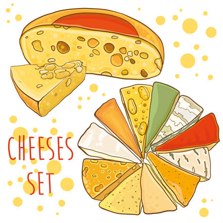 Cheese collection. Different types of cheese. Bright vector illustration with cheeses. Set for design. eps 10のイラスト素材