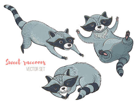 Vector illustration: set of cute characters raccoons. Isolated templates for design.のイラスト素材