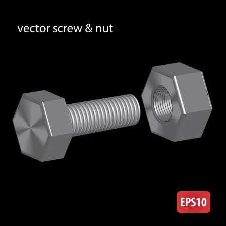 Steel screw and nut illustration のイラスト素材
