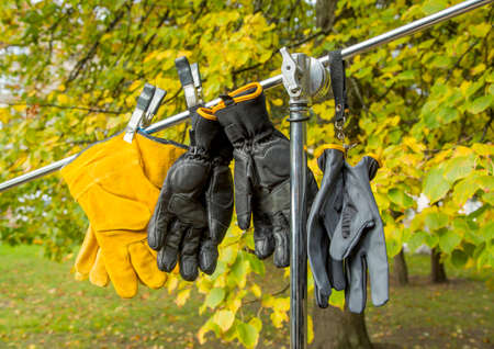 Professional gloves on a background of yellow leaves, suede and leather hand protection, safetyの写真素材