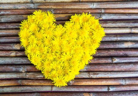 The composition in the form of heart with yellow dandelion flowers, love, romanceの写真素材