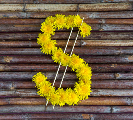 Sign of dollar currency symbol made of fresh summer yellow flowers.の写真素材