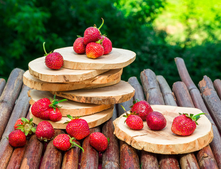 Healthy food from village. Eco food concept. Fresh organic fruit on wood table in the garden.の写真素材