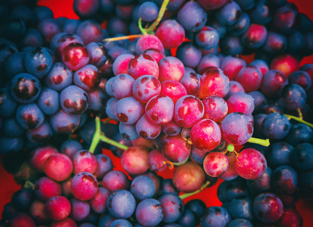 Red ripe grapes close up, fruit, background, selective focusの写真素材