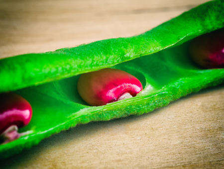 purple beans and pods on a wooden surface, vegetables, food, macroの写真素材
