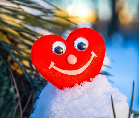 Red romantic heart in the fresh white snow, a symbol of love, Valentine's Day, holiday cardの写真素材