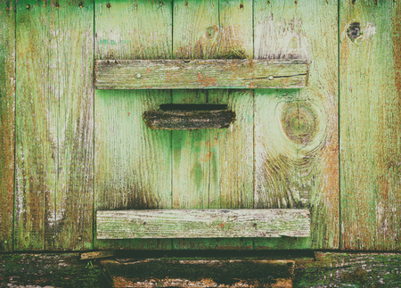 Hive from a tree front view close-up, agriculture, retro styleの写真素材