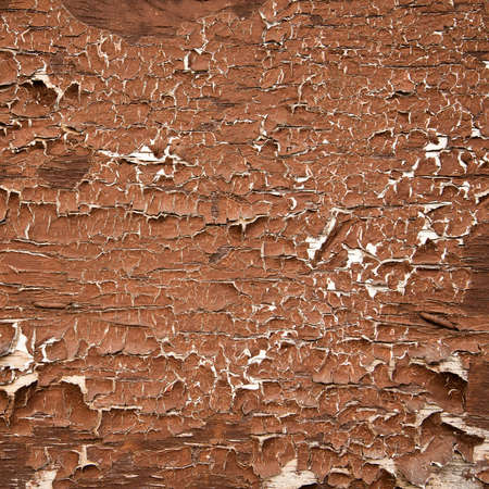 Old cracked wood backgroundの写真素材