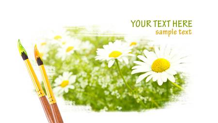 Daisy flowers designの写真素材