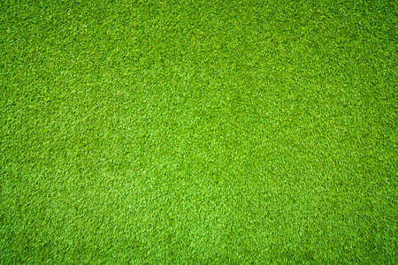 Natural background of green grassの写真素材