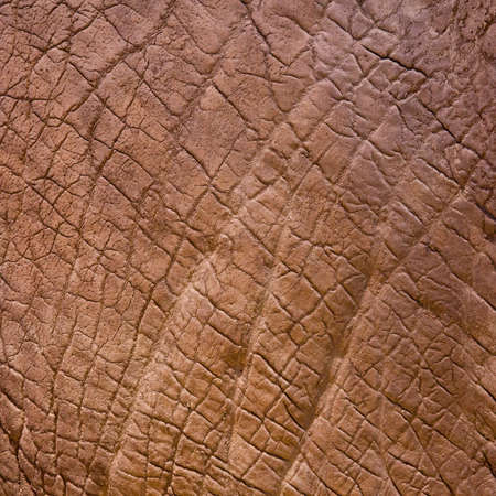 Elephant skin texture