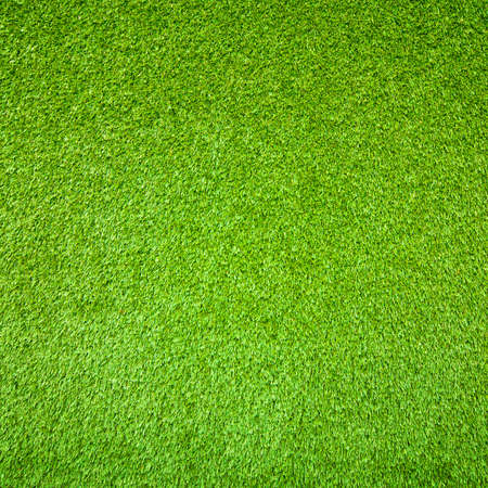 Green grass backgroundの写真素材