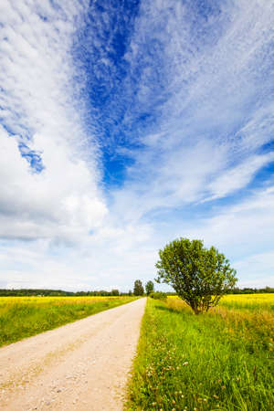 Photo of countryside roadの写真素材