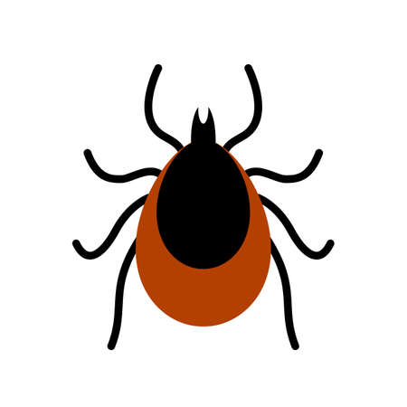 Mite tick vector iconのイラスト素材