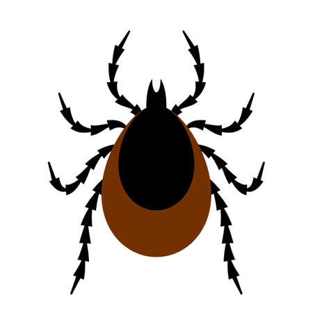 Tick insect vector illustrationのイラスト素材