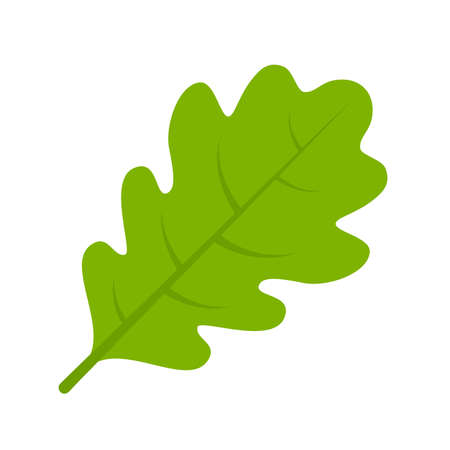 Green oak leaf vector illustrationのイラスト素材