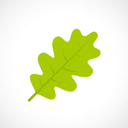 Oak leaf vector iconのイラスト素材
