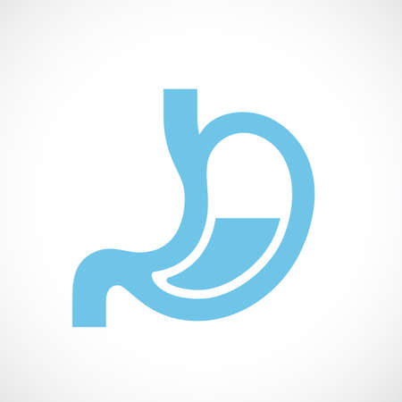 Human stomach anatomy icon on white background, vector illustration.のイラスト素材