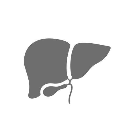 Liver vector icon isolated on white backgroundのイラスト素材
