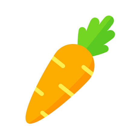 Carrot vector icon isolated on white backgroundのイラスト素材