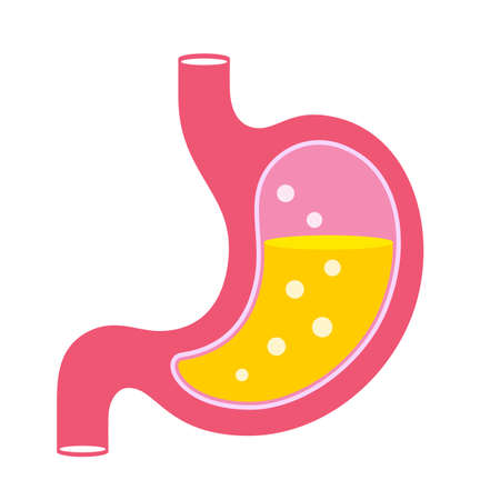Stomach gas and acid vector cartoon isolated on white backgroundのイラスト素材