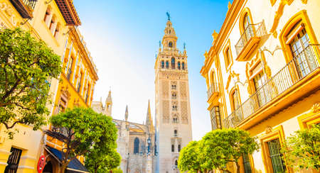 Sunny Sevilla and Giralda tower, Calle Mateos Gago streetの写真素材