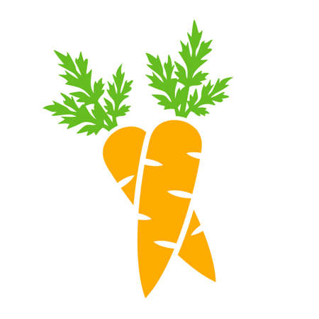 Carrot vector icon isolated on white backgroundのイラスト素材