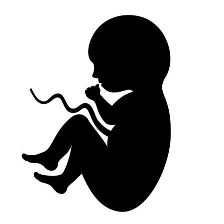 Embryo vector icon isolated on white backgroundのイラスト素材