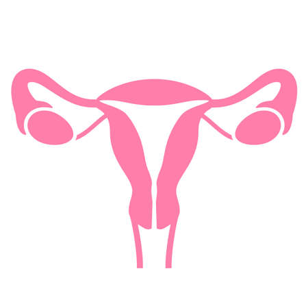 Women uterus and ovary icon isolated on white backgroundのイラスト素材