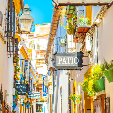 CORDOBA, SPAIN - 19 March, 2019: Spanish narrow sunny street with hotels and bars signsのeditorial素材