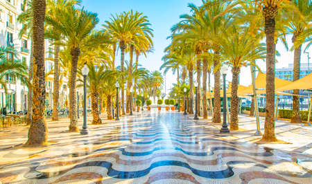 Sunny promenade in Alicante, Spain photoの写真素材