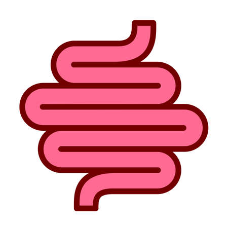 Human colon simple vector cartoon on white backgroundのイラスト素材