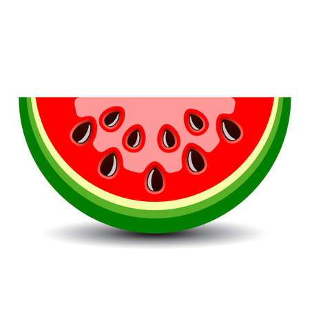 Watermelon vector cartoon on white backgroundのイラスト素材
