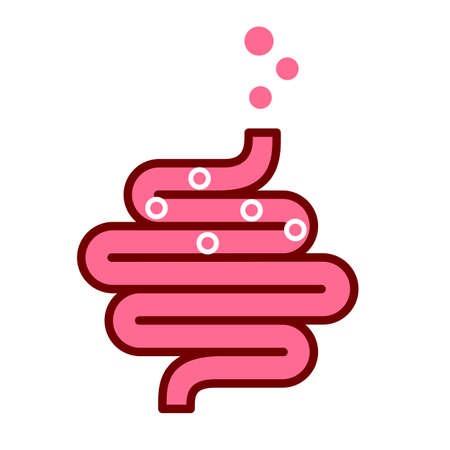 Human colon and intestinal gas, medical icon on white backgroundのイラスト素材