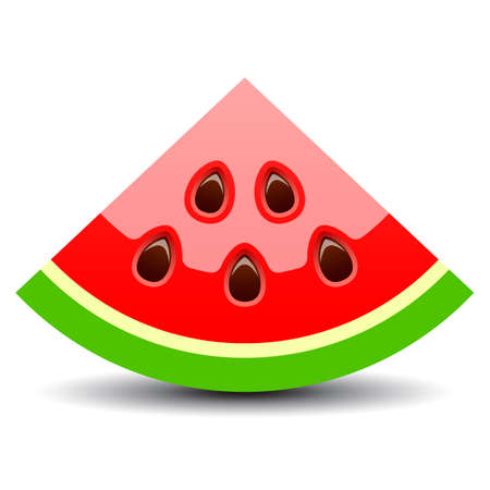 Watermelon piece vector icon on white backgroundのイラスト素材