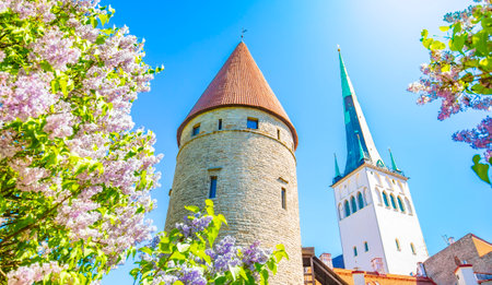 Tallinn old town panorama, Estoniaのeditorial素材