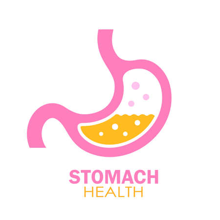 Stomach vector  isolated on white backgroundのイラスト素材