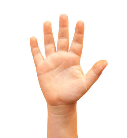 Human raised hand, open palm isolated on whiite backgroundの写真素材