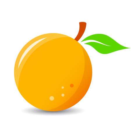 Orange fruit vector cartoon isolated on white backgroundのイラスト素材