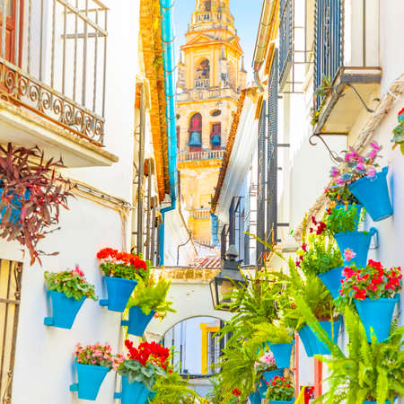 Calleja de las Flores street and Mezquita tower in Cordoba, Spainの写真素材