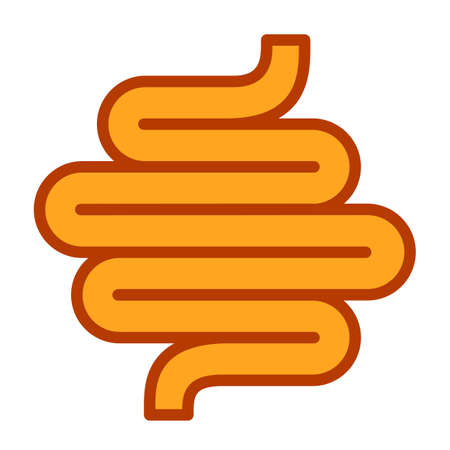 Human colon vector illustration on white backgroundのイラスト素材